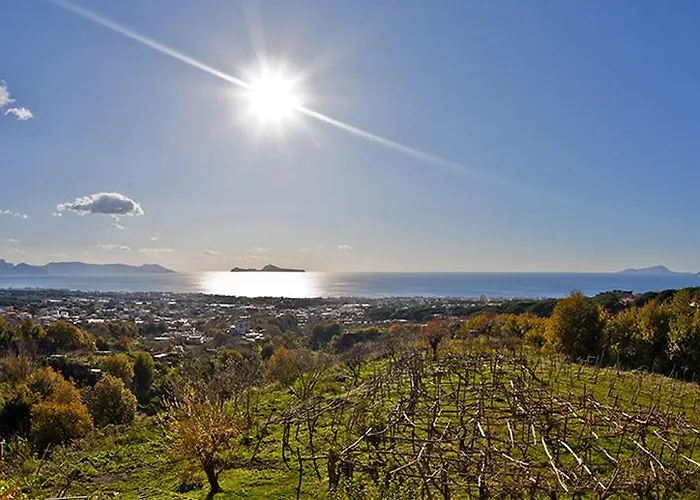 Tenuta Le Fornacelle