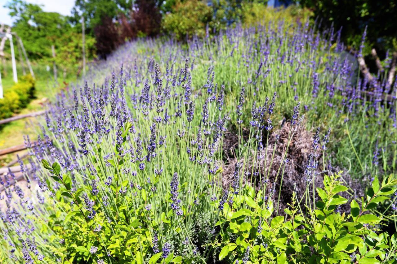 Tenuta Le Fornacelle Séjour à la ferme *