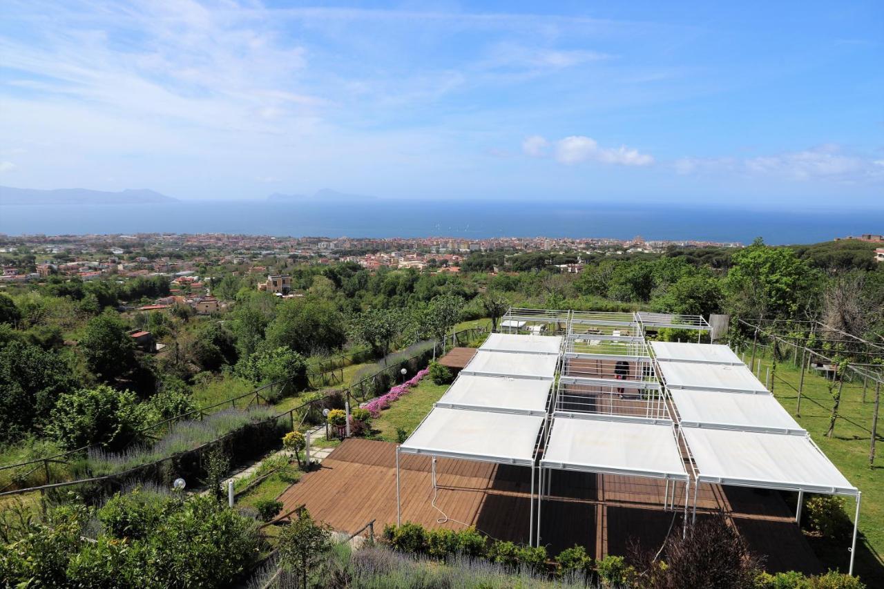 Tenuta Le Fornacelle * Torre del Greco