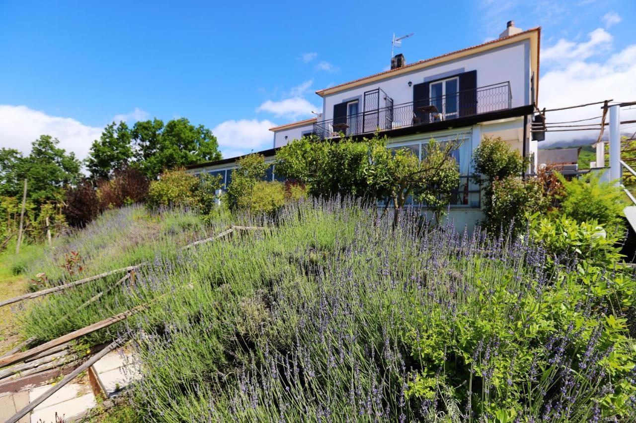 Tenuta Le Fornacelle Séjour à la ferme Torre del Greco