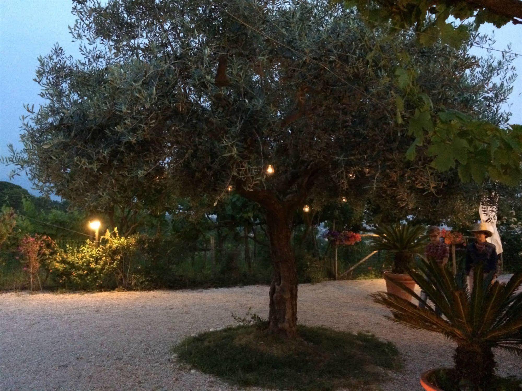 Tenuta Le Fornacelle Séjour à la ferme *
